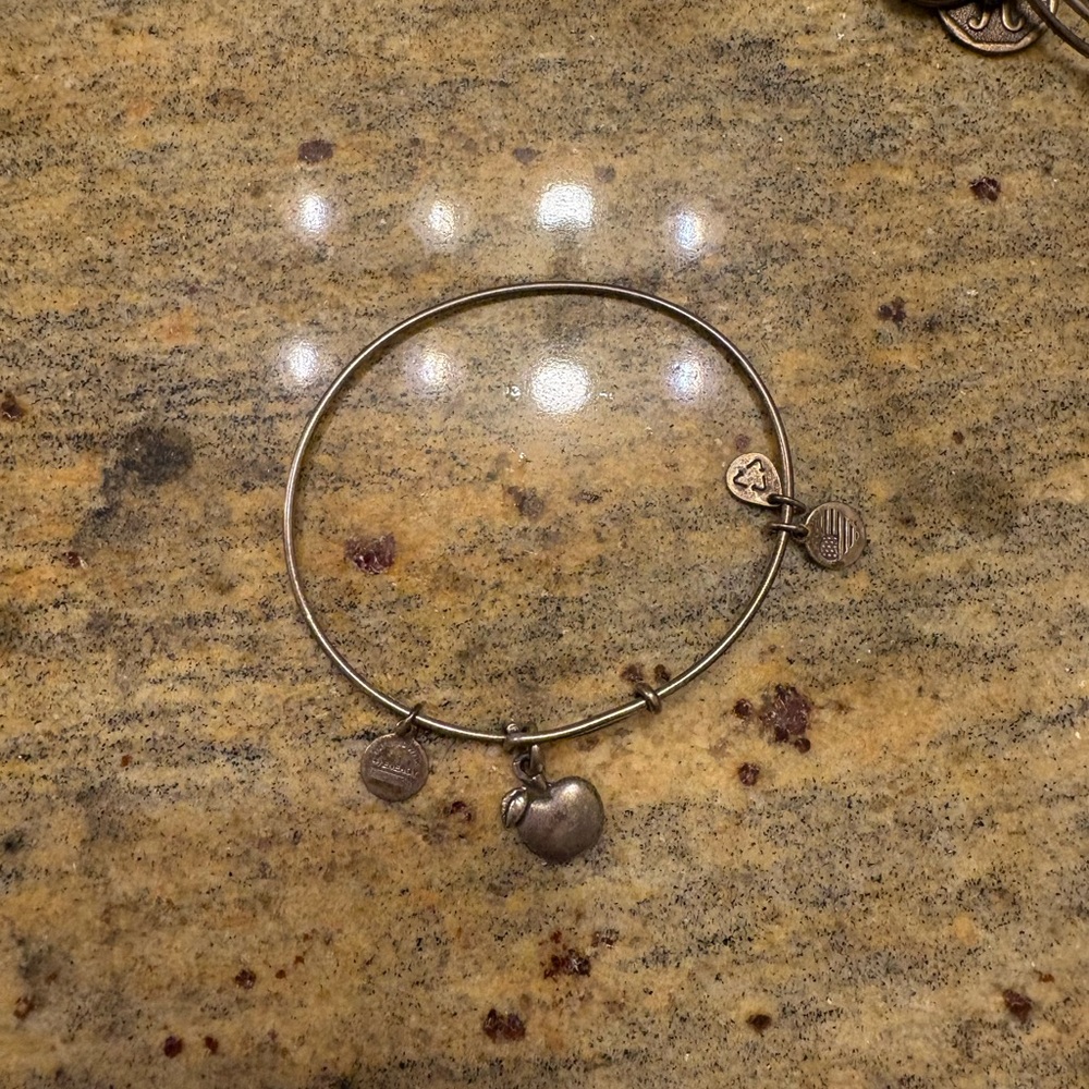 Alex and Ani Silver Apple Bracelet